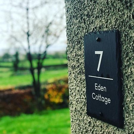 Eden Cottage Lisburn Exteriér fotografie